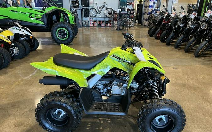 2026 Yamaha Raptor 110