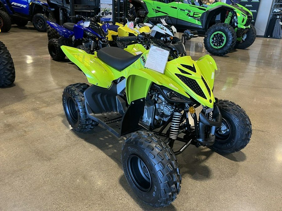 2026 Yamaha Raptor 110