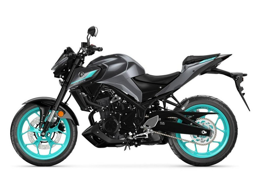 2024 Yamaha MT-03