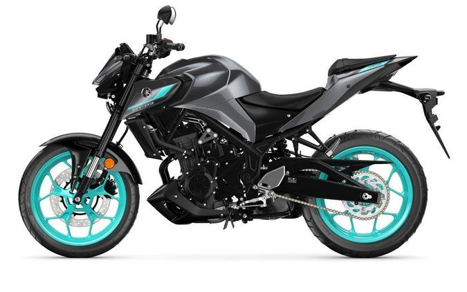 2024 Yamaha MT-03