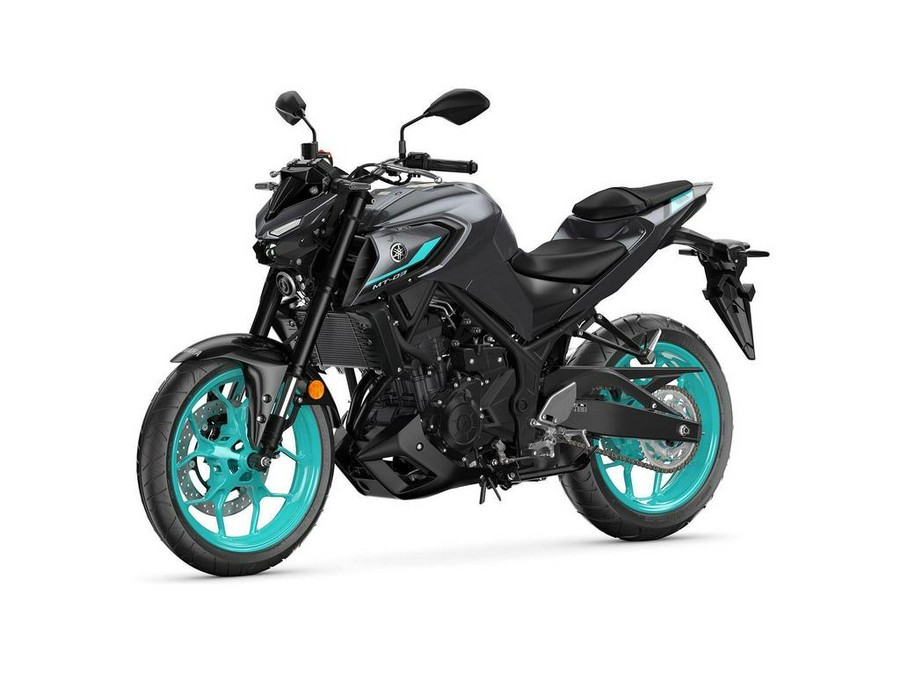 2024 Yamaha MT-03