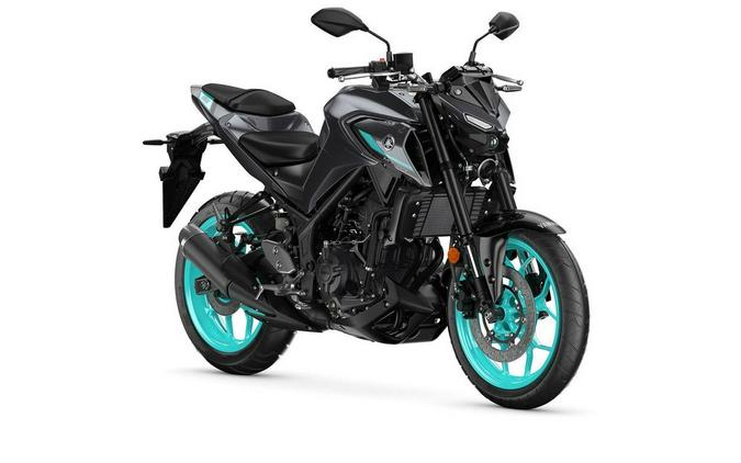 2024 Yamaha MT-03
