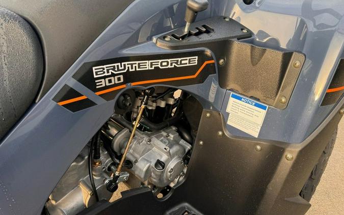 2026 Kawasaki Brute Force 300