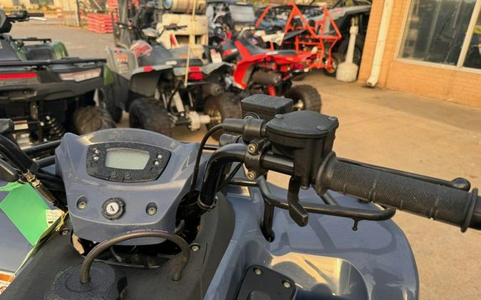 2026 Kawasaki Brute Force 300