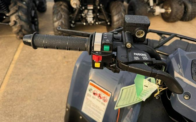 2026 Kawasaki Brute Force 300