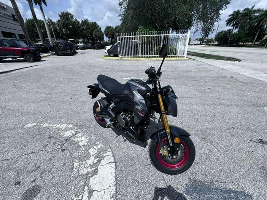 2024 Kawasaki Z125 PRO