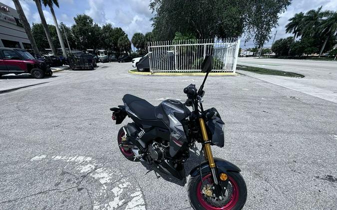 2024 Kawasaki Z125 PRO