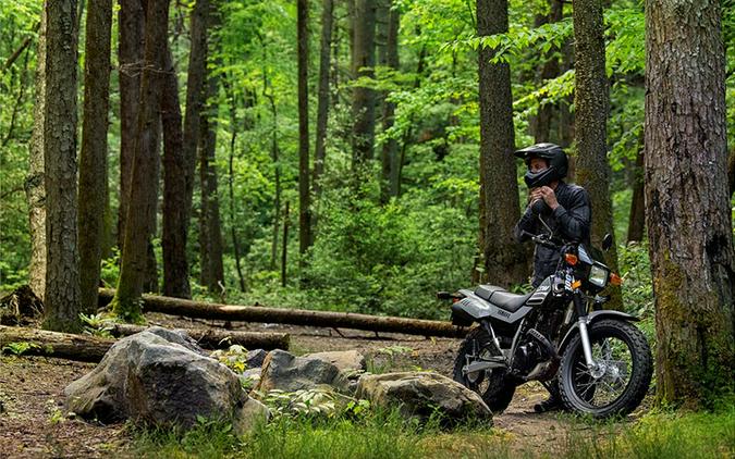 2021 Yamaha TW200