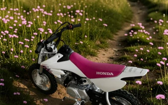 2026 Honda CRF50F