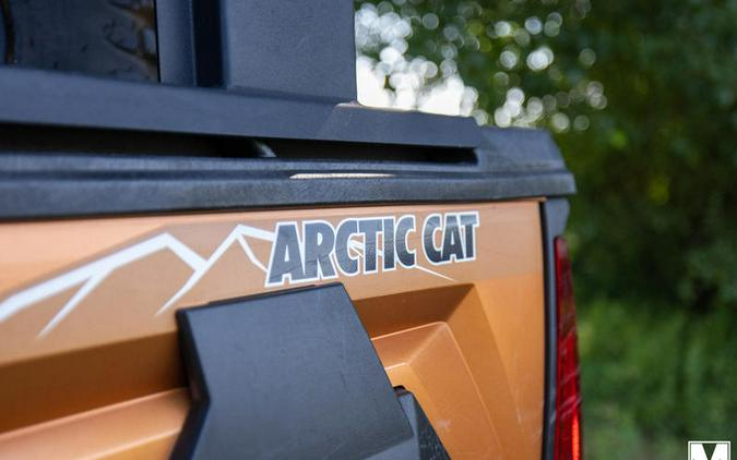 2021 Arctic Cat® PROWLER PRO 800CC