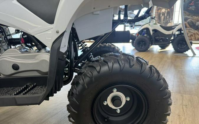2024 Yamaha Grizzly 90