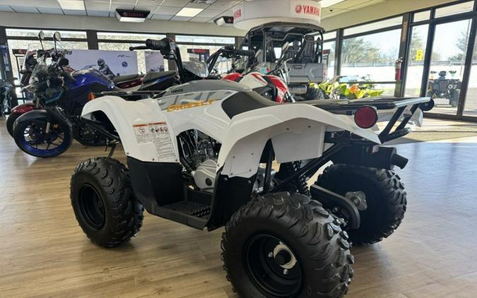 2024 Yamaha Grizzly 90