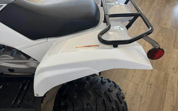 2024 Yamaha Grizzly 90