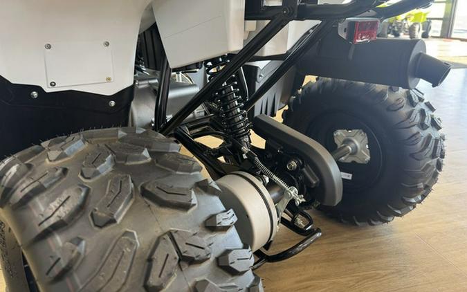 2024 Yamaha Grizzly 90