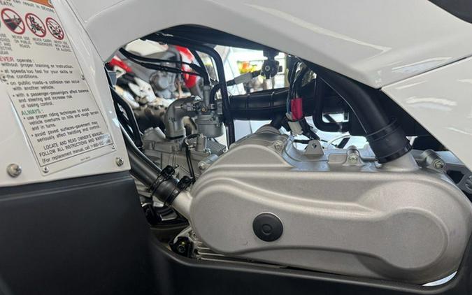 2024 Yamaha Grizzly 90