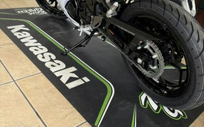 2027 Kawasaki Ninja 300 ABS