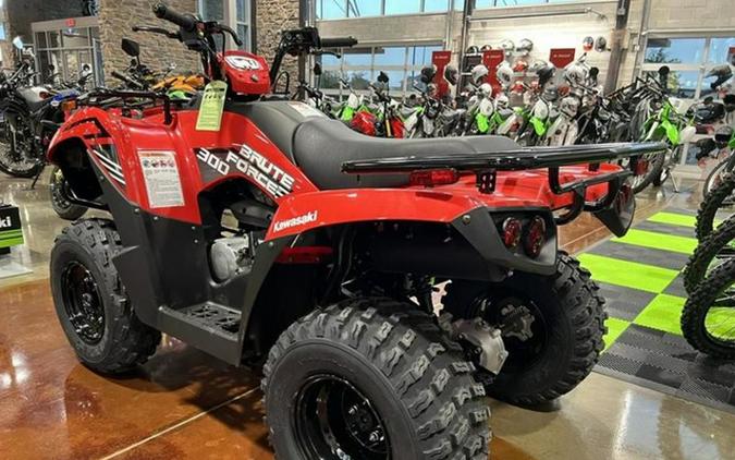 2024 Kawasaki Brute Force 300