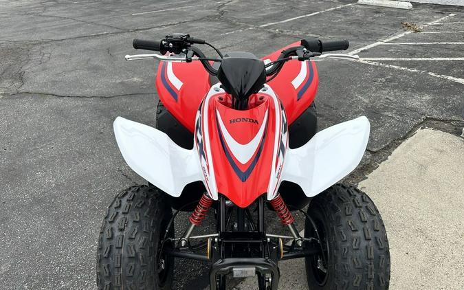 2023 Honda® TRX90X