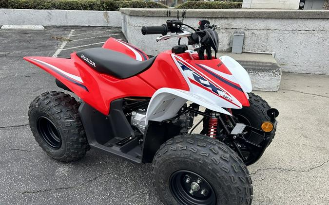 2023 Honda® TRX90X