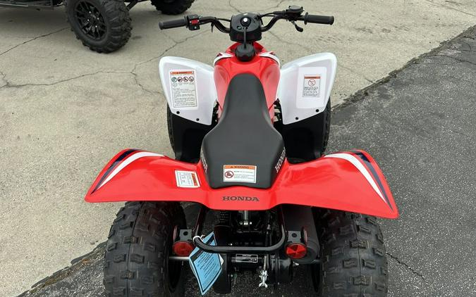 2023 Honda® TRX90X