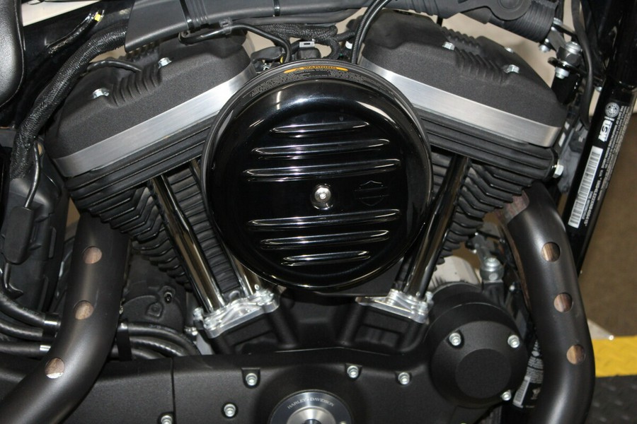 Harley-Davidson® Iron 883™ 2022 XL 883N 406415T WHITE SAND PRL