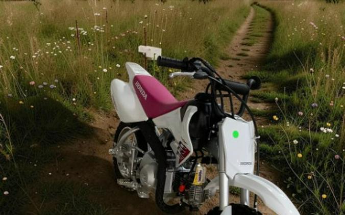 2026 Honda CRF50F