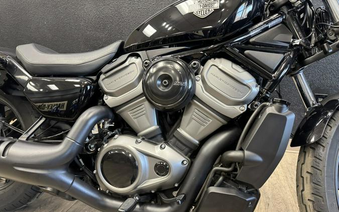 2024 Harley-Davidson® Nightster®