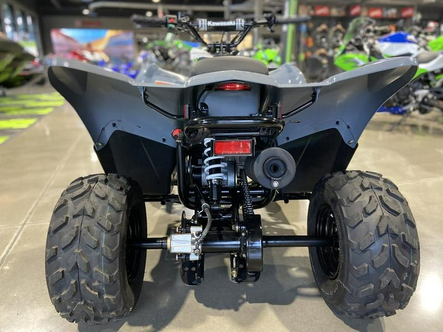 2025 Kawasaki KFX®50