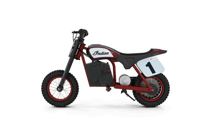 2022 Indian Motorcycle eFTR Mini