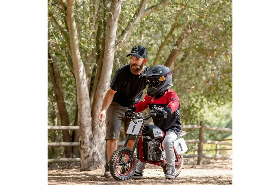 2022 Indian Motorcycle eFTR Mini