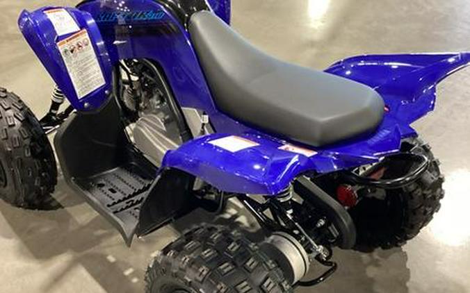 2024 Yamaha Raptor 110