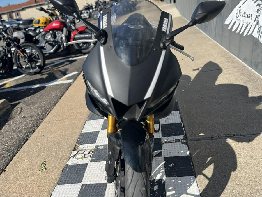 2019 Yamaha YZF-R3