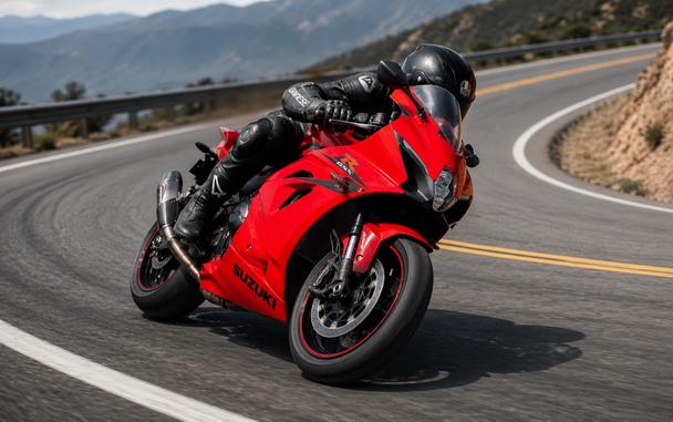 2017 SUZUKI GSX-R1000 ABS - F101425