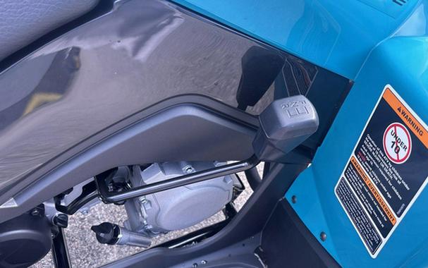 2026 Can-AM RENEGADE 110 EFI