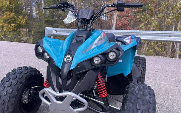 2026 Can-AM RENEGADE 110 EFI