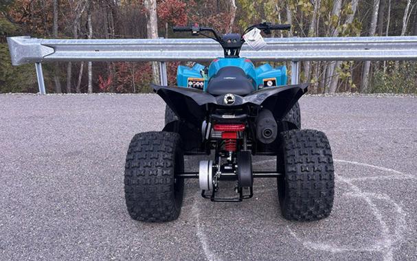 2026 Can-AM RENEGADE 110 EFI