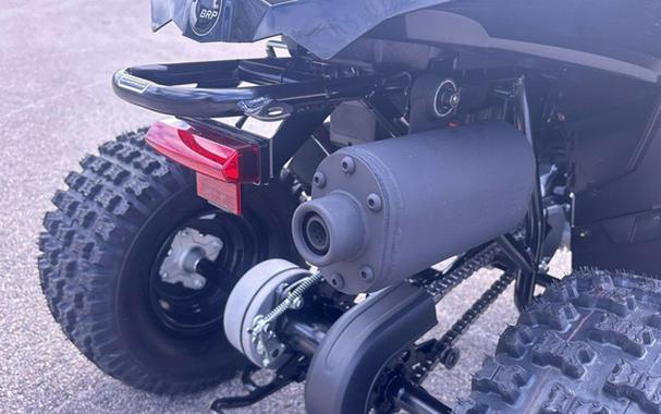 2026 Can-AM RENEGADE 110 EFI