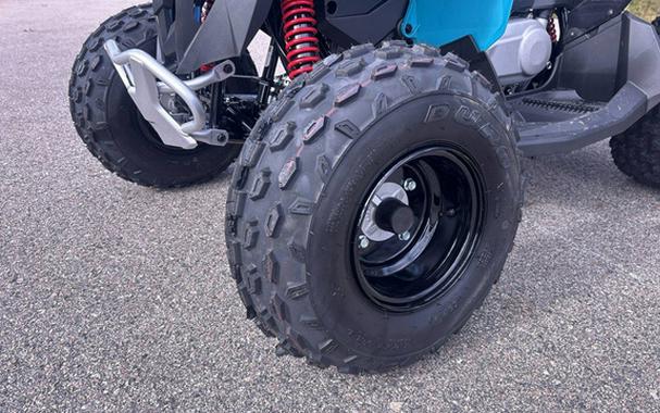 2026 Can-AM RENEGADE 110 EFI