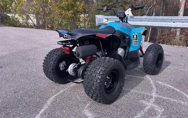 2026 Can-AM RENEGADE 110 EFI