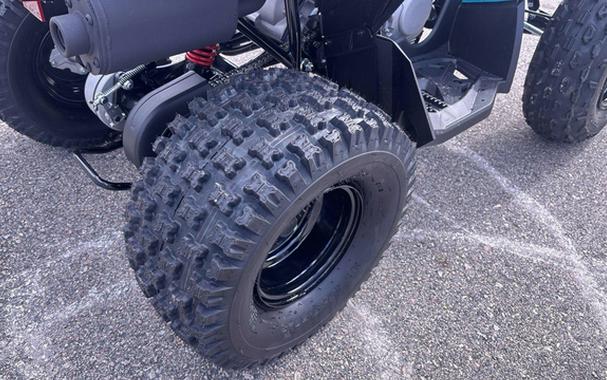 2026 Can-AM RENEGADE 110 EFI