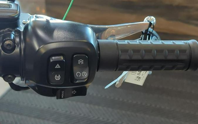 2025 Harley-Davidson® FXBB - Street Bob®