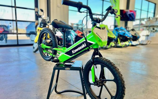 2023 Kawasaki Elektrode™