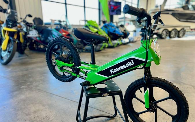 2023 Kawasaki Elektrode™