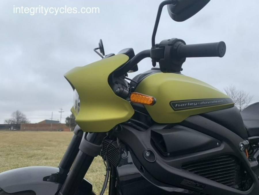 2020 Harley-Davidson® ELW - LiveWire™