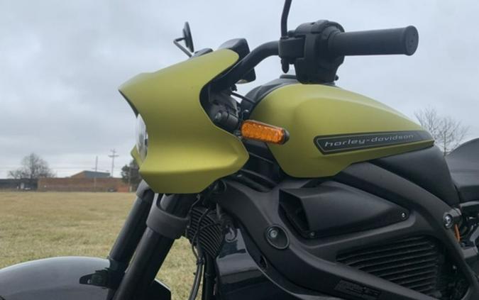 2020 Harley-Davidson® ELW - LiveWire™