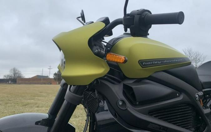 2020 Harley-Davidson® ELW - LiveWire™