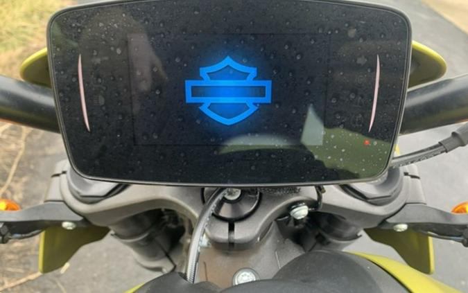 2020 Harley-Davidson® ELW - LiveWire™