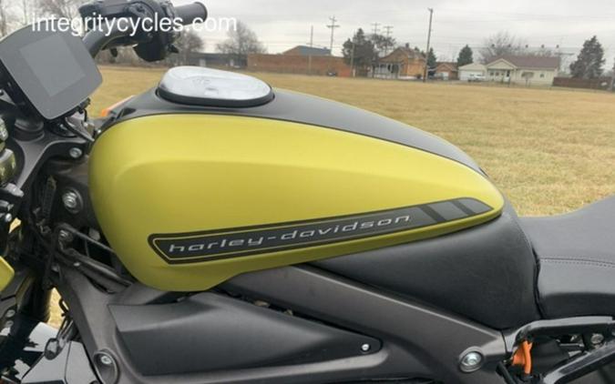 2020 Harley-Davidson® ELW - LiveWire™