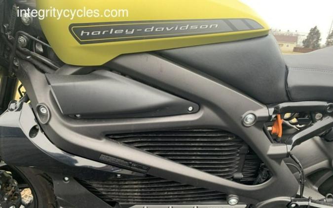 2020 Harley-Davidson® ELW - LiveWire™