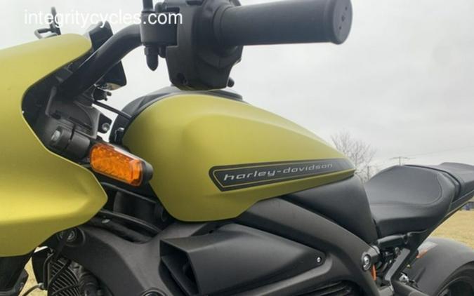2020 Harley-Davidson® ELW - LiveWire™